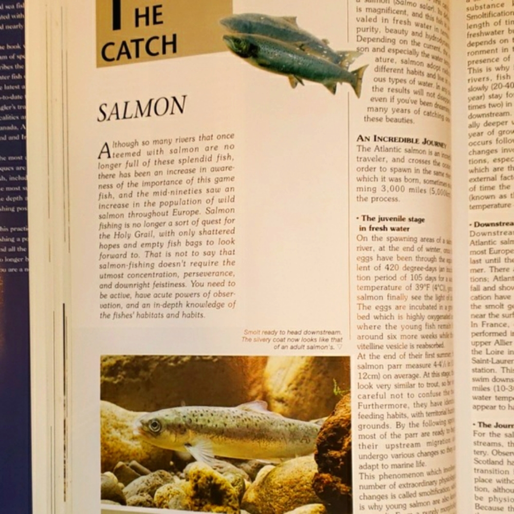 The Practical Guide To Fishing - Picture 5 of 5